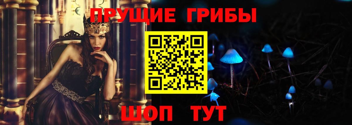 Псилоцибиновые грибы мицелий Кохма
